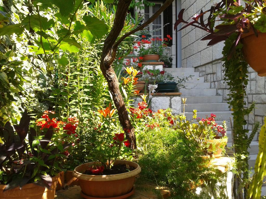 Rooms Cvetka Dubrovnik Ngoại thất bức ảnh