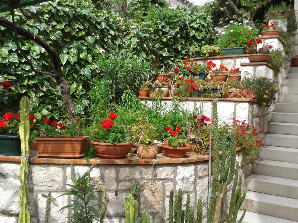 Rooms Cvetka Dubrovnik Ngoại thất bức ảnh