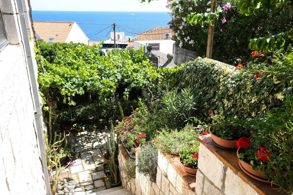 Rooms Cvetka Dubrovnik Phòng bức ảnh